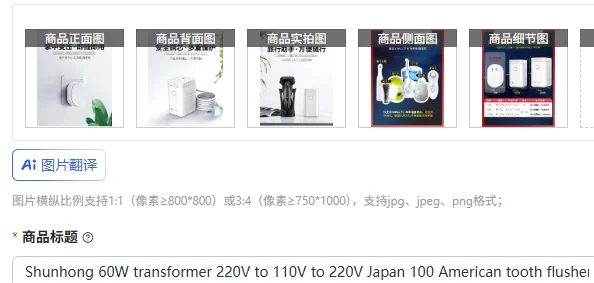 Power Tools Japan - Transformateur Shunhong 60W 220V vers 110V