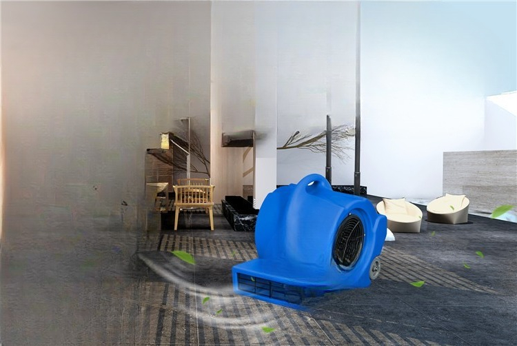 Séchoir à tapis mobile pour hô - Power Tools Mall avis et prix